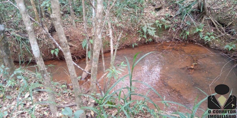 Chácara à venda, 20000m² - Foto 29