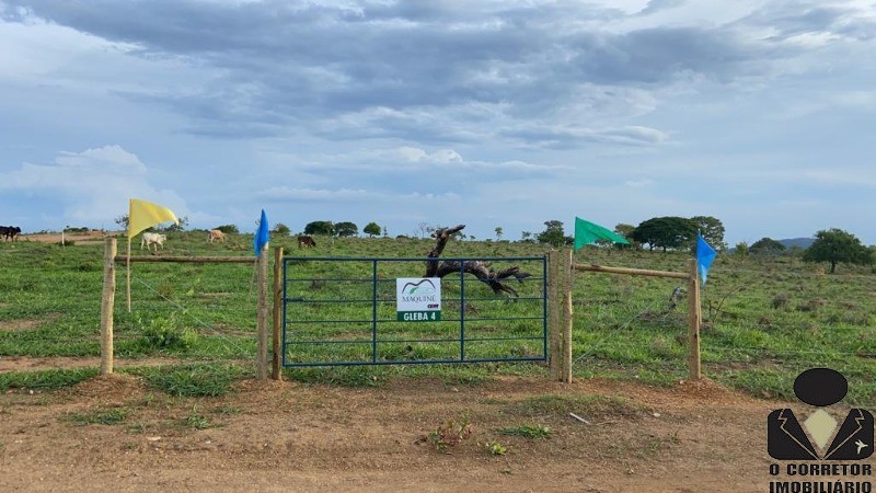 Chácara à venda, 20000m² - Foto 20