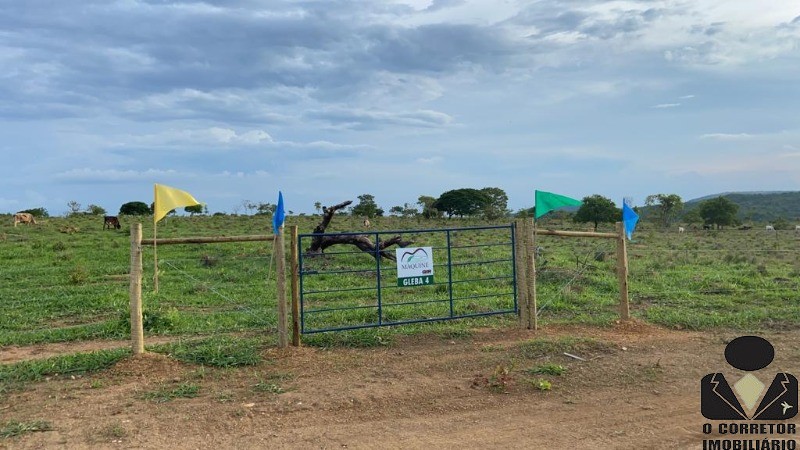 Chácara à venda, 20000m² - Foto 10