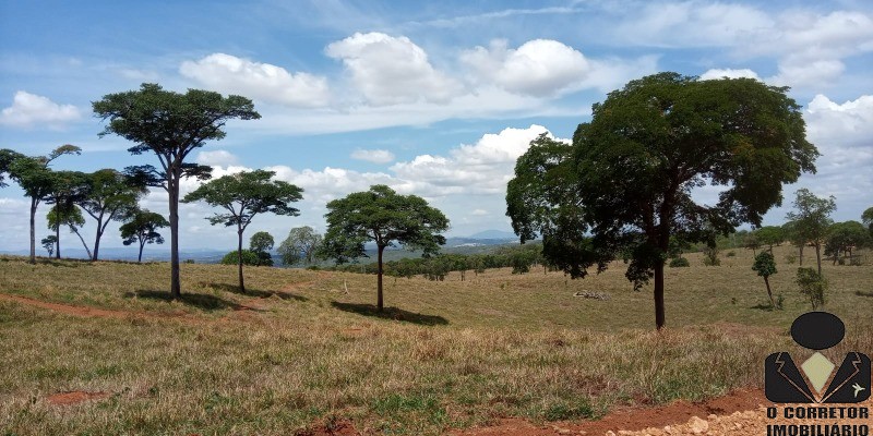 Chácara à venda, 20000m² - Foto 19