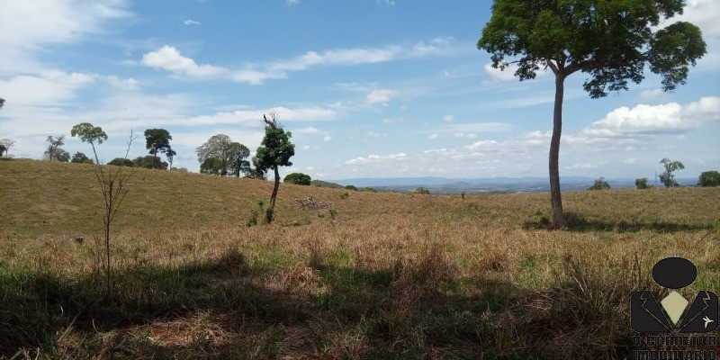 Chácara à venda, 20000m² - Foto 15