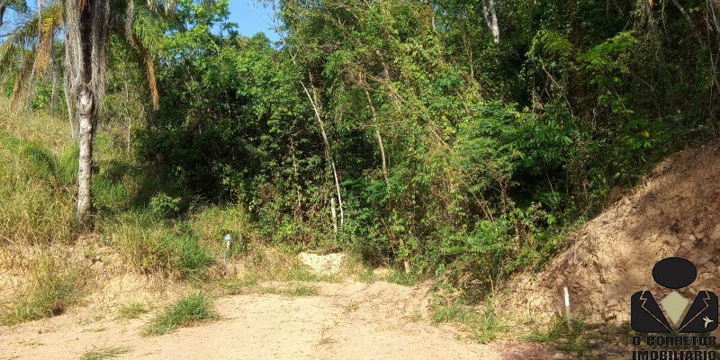 Chácara, 2 hectares - Foto 23