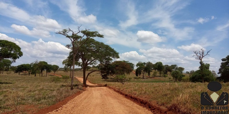 Chácara à venda, 20000m² - Foto 18