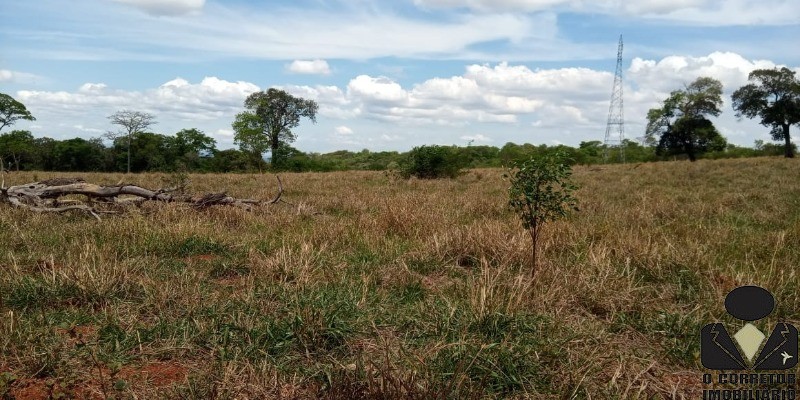 Chácara à venda, 20000m² - Foto 12