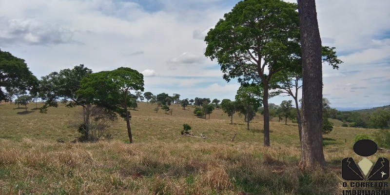 Chácara à venda, 20000m² - Foto 13