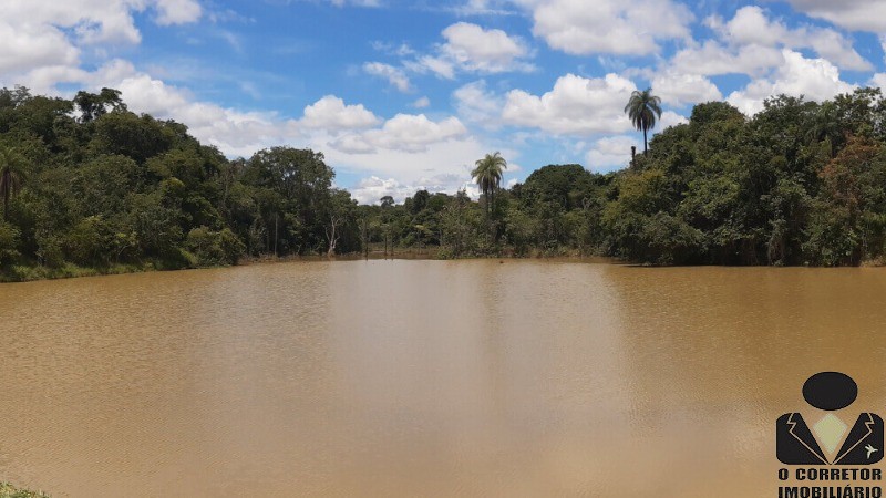 Chácara à venda, 20000m² - Foto 15