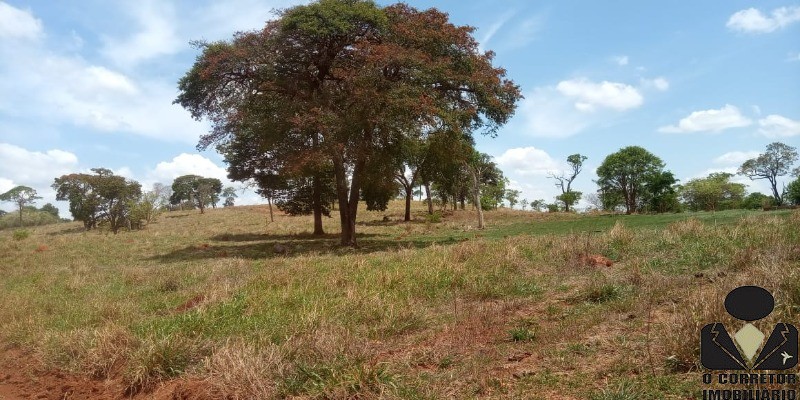 Chácara à venda, 20000m² - Foto 11