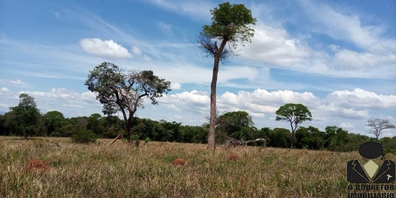 Chácara à venda, 20000m² - Foto 6