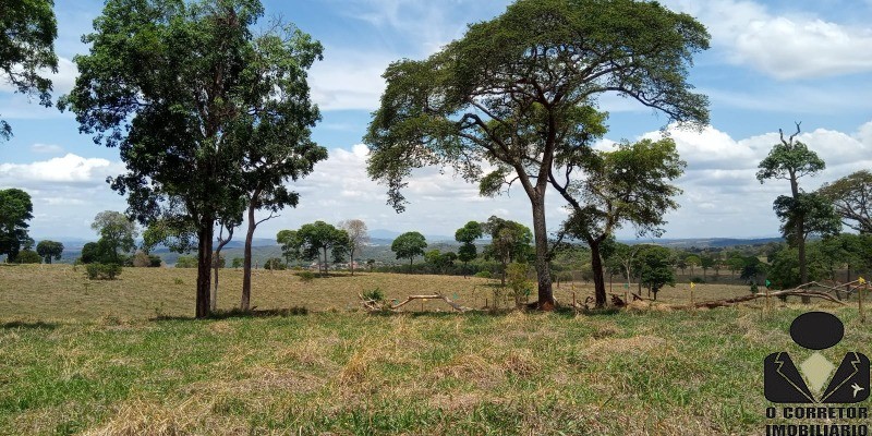 Chácara à venda, 20000m² - Foto 5