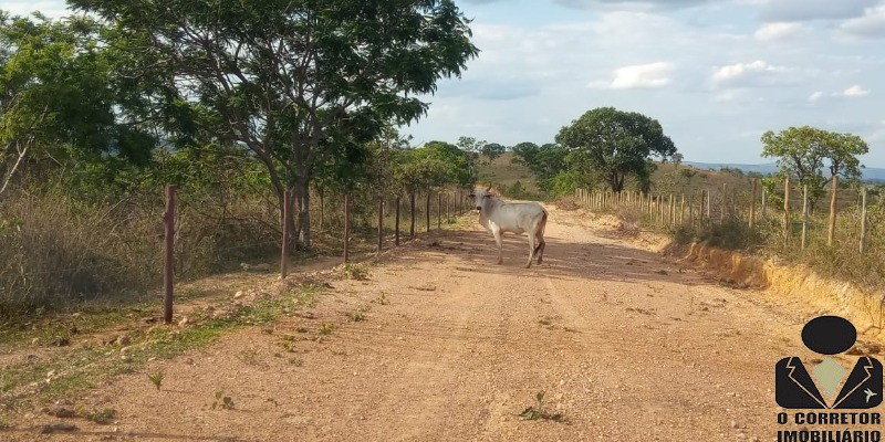 Chácara à venda, 20000m² - Foto 53