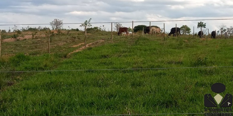 Chácara à venda, 20000m² - Foto 69