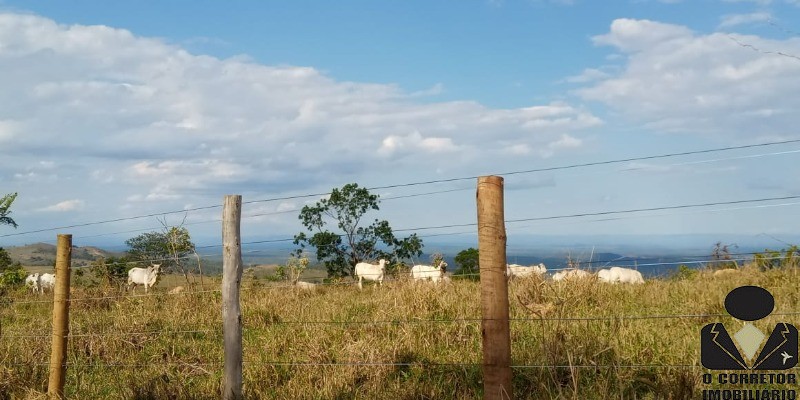 Chácara à venda, 20000m² - Foto 54