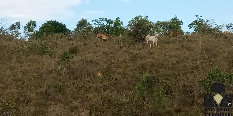 Chácara à venda, 20000m² - Foto 80