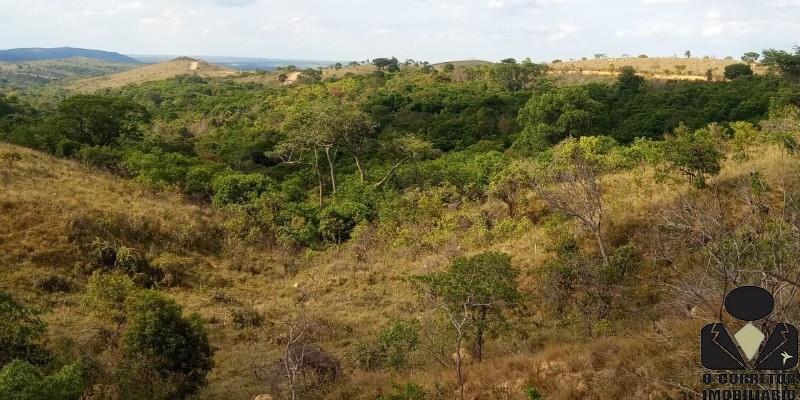 Chácara à venda, 20000m² - Foto 88