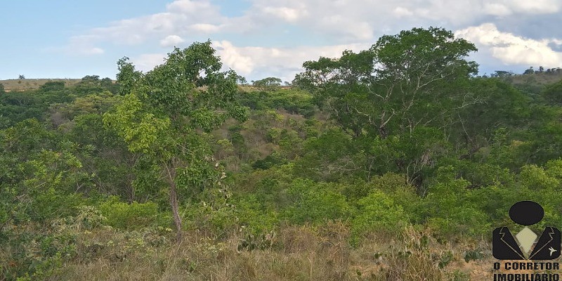 Chácara à venda, 20000m² - Foto 63