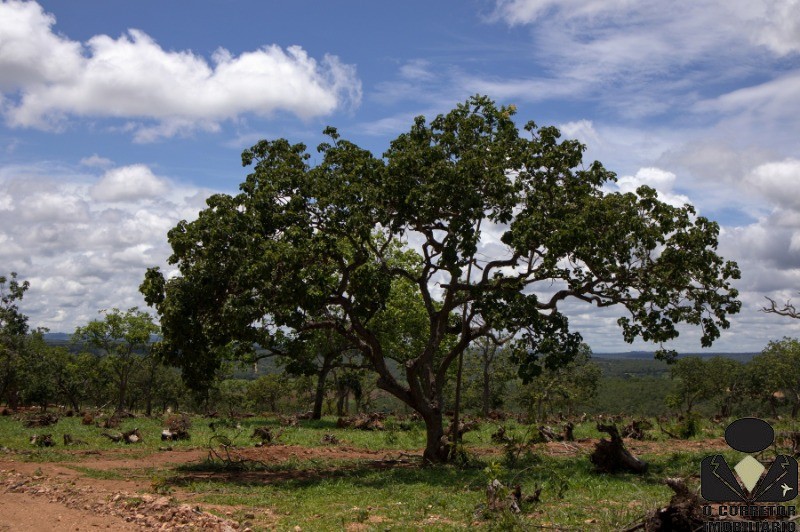 Chácara à venda, 20000m² - Foto 21