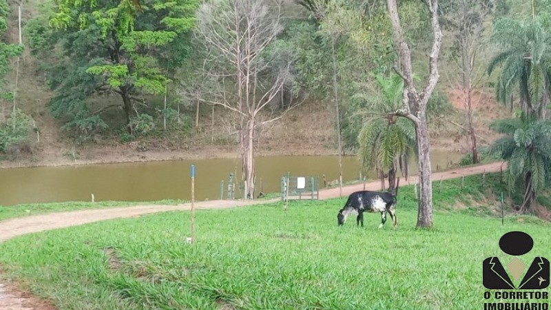 Chácara à venda, 20000m² - Foto 7