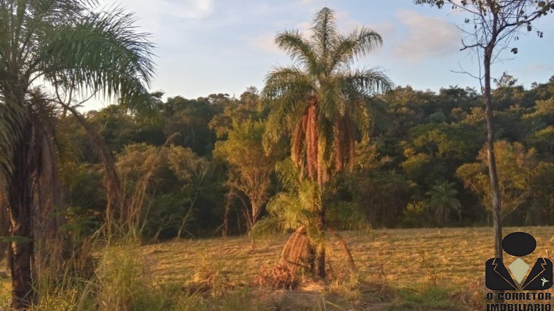 Chácara à venda, 20000m² - Foto 33