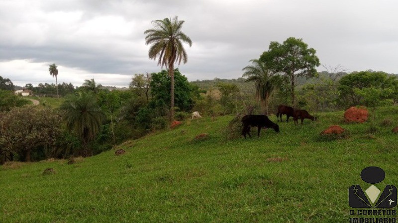 Chácara à venda, 20000m² - Foto 17