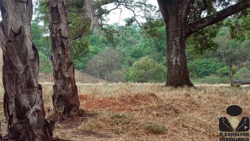 Chácara à venda, 20000m² - Foto 13