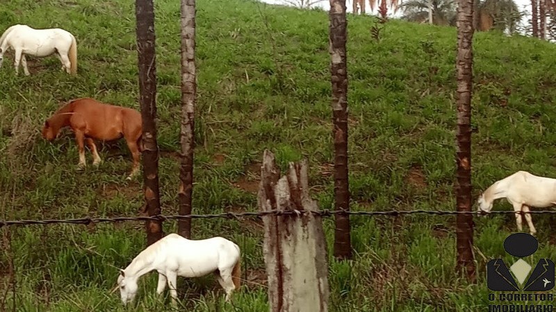 Chácara à venda, 20000m² - Foto 19