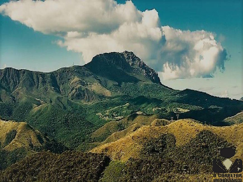 Chácara à venda, 20000m² - Foto 19