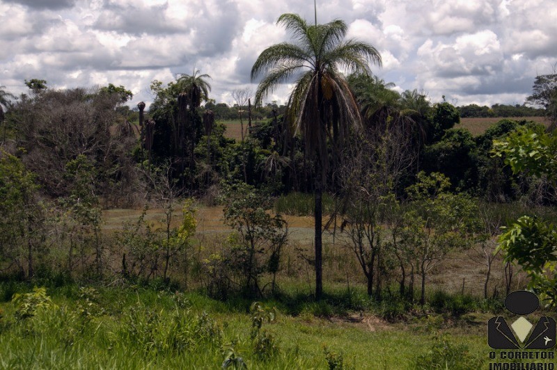 Chácara à venda, 20000m² - Foto 13