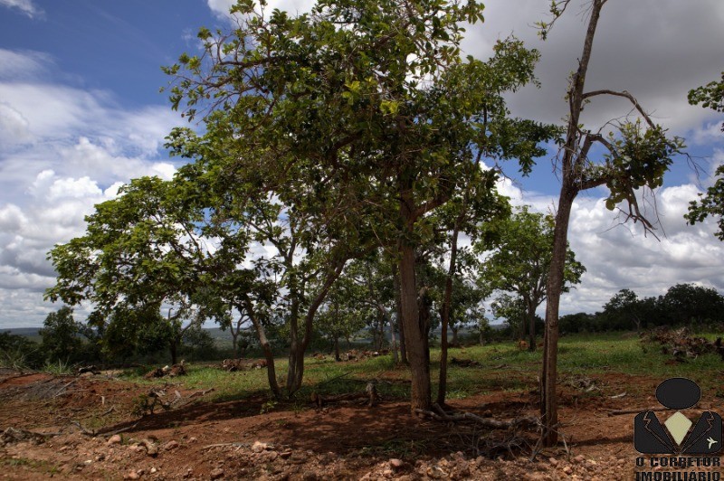 Chácara à venda, 20000m² - Foto 16