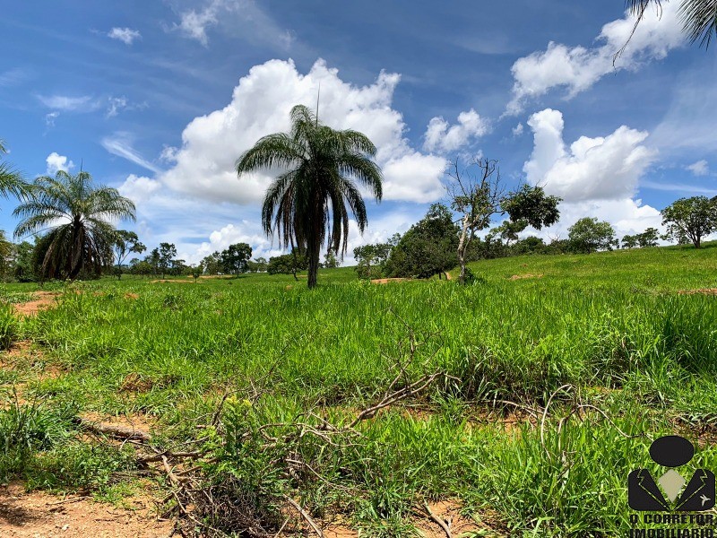 Chácara à venda, 20000m² - Foto 3