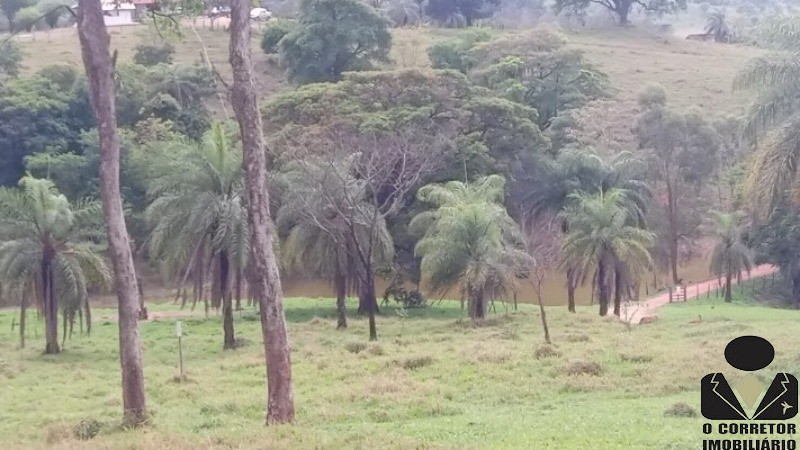 Chácara à venda, 20000m² - Foto 8