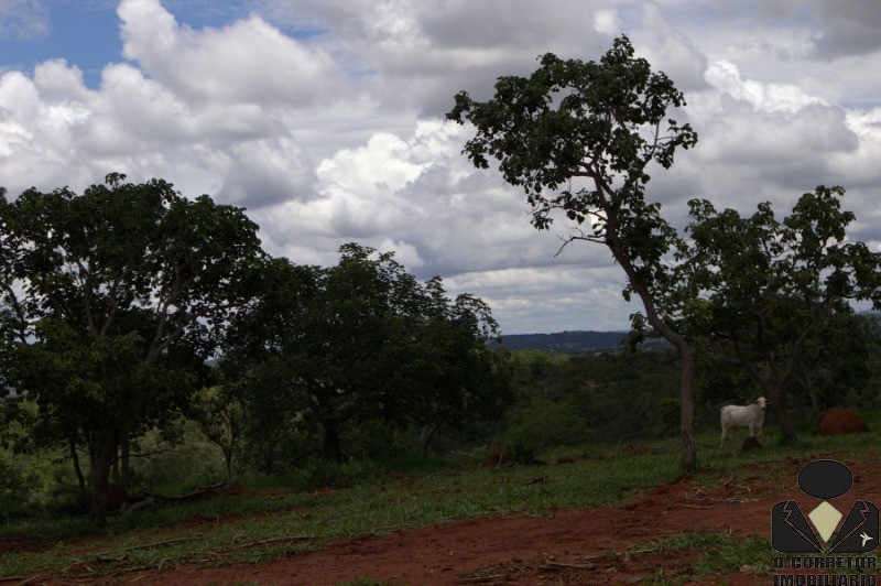 Chácara à venda, 20000m² - Foto 14