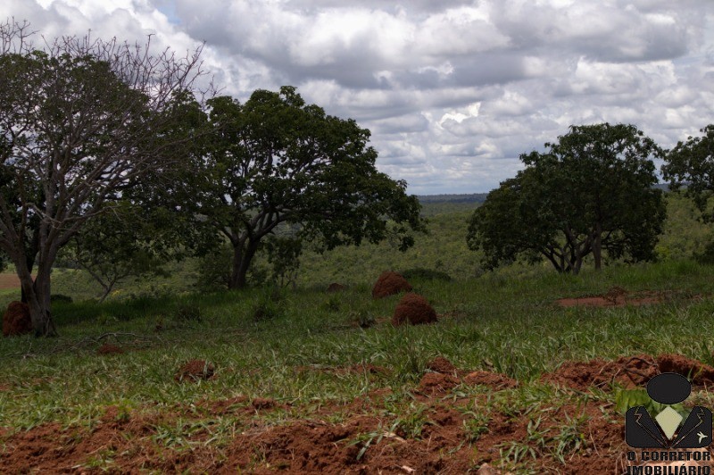 Chácara à venda, 20000m² - Foto 17