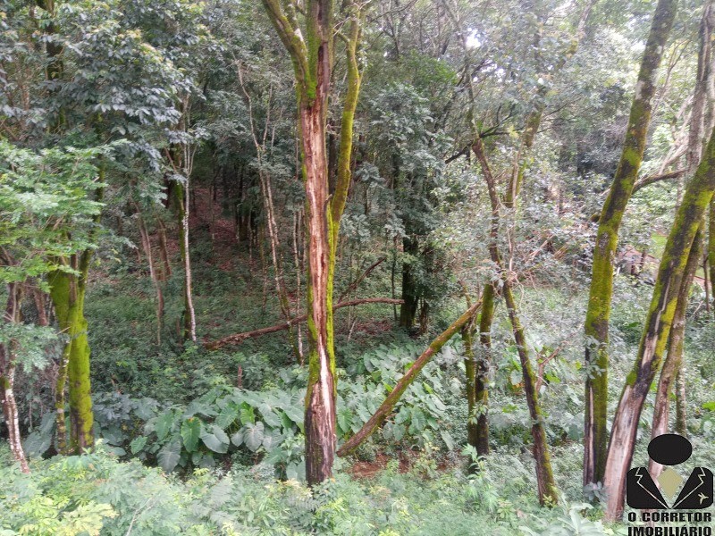 Fazenda à venda com 4 quartos, 11000m² - Foto 20