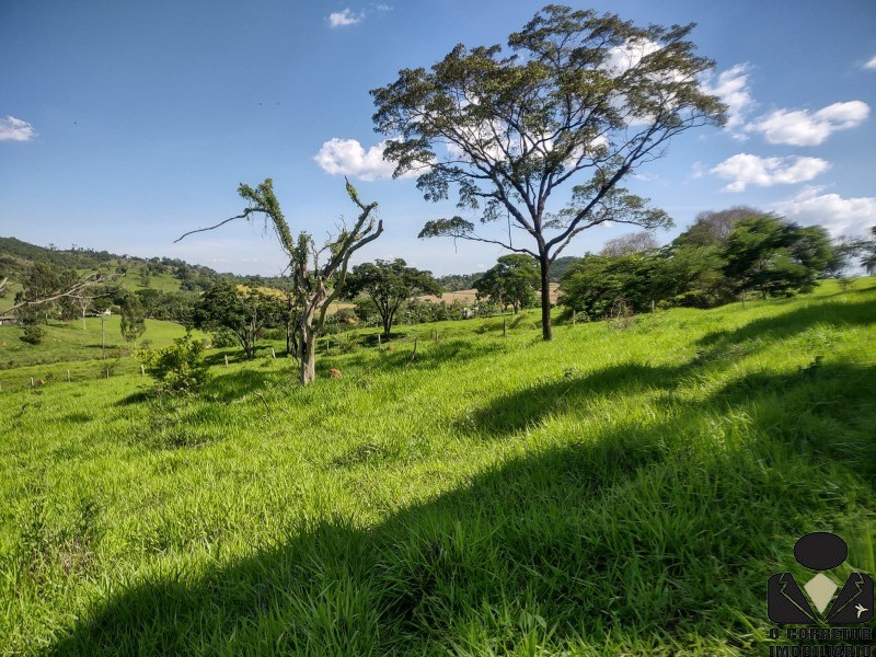 Chácara à venda, 21900m² - Foto 23