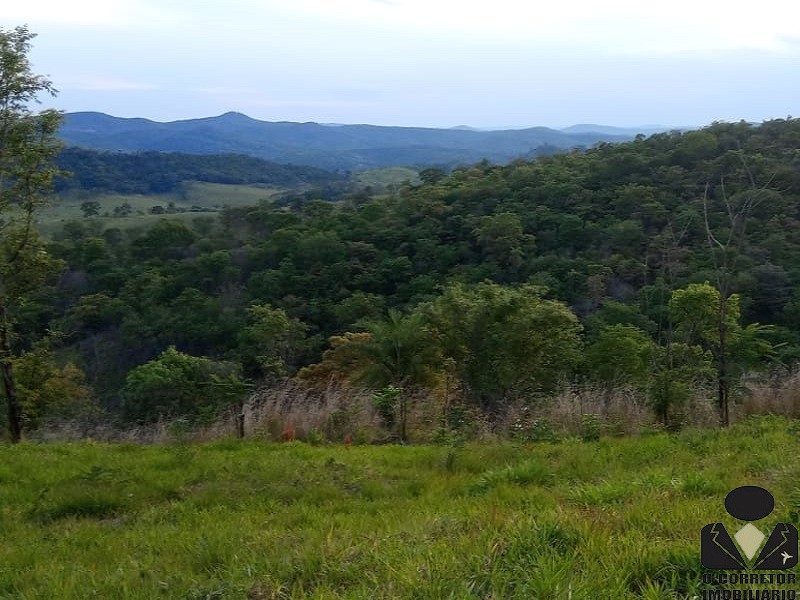 Chácara, 2 hectares - Foto 1
