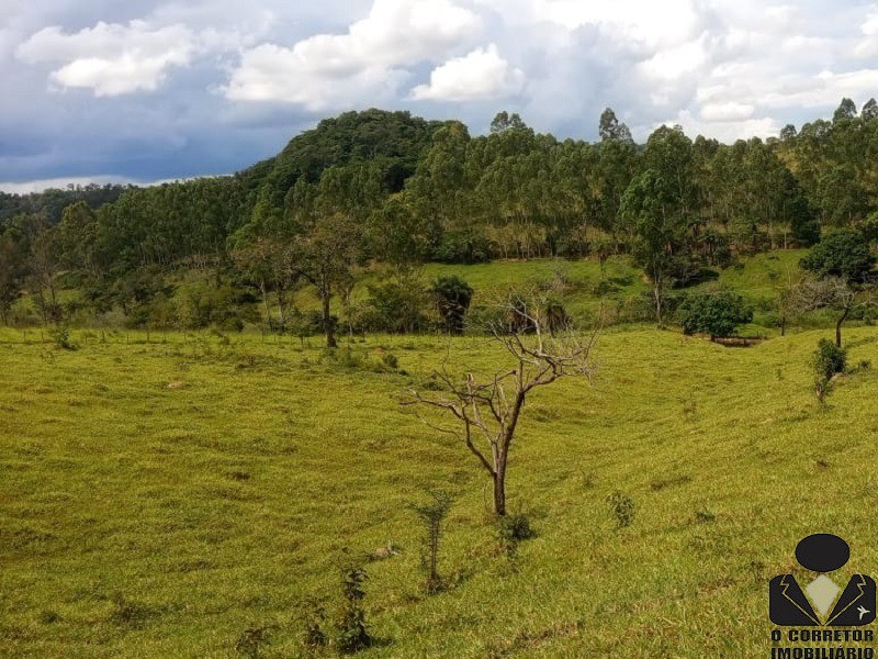 Chácara à venda, 21900m² - Foto 30