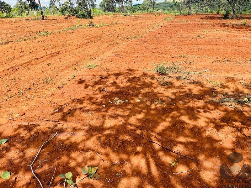 Loteamento e Condomínio à venda, 1000m² - Foto 7