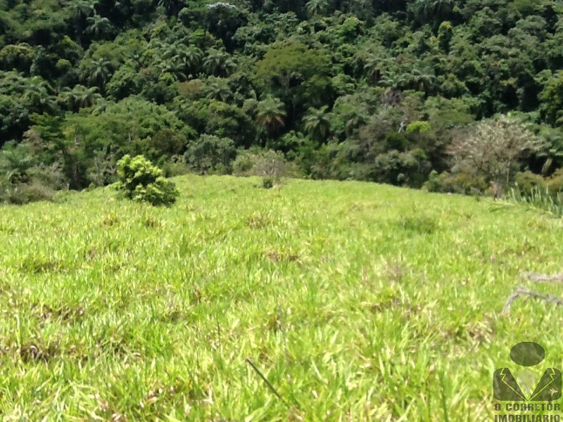 Chácara à venda, 20000m² - Foto 39