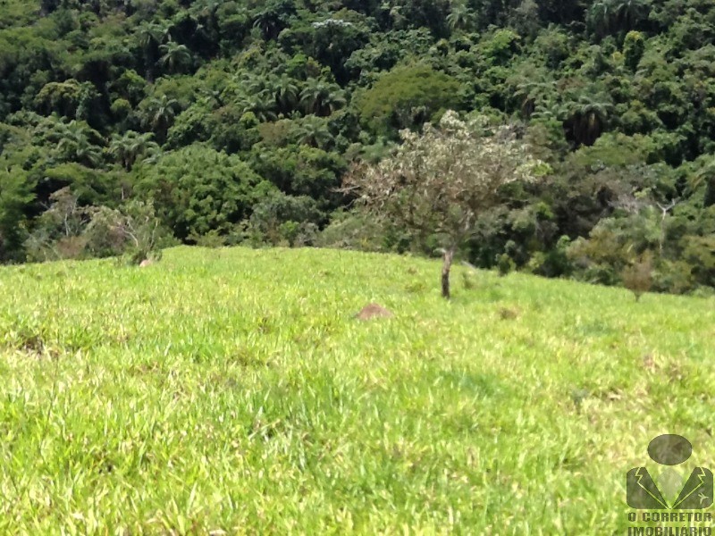 Chácara à venda, 20000m² - Foto 47