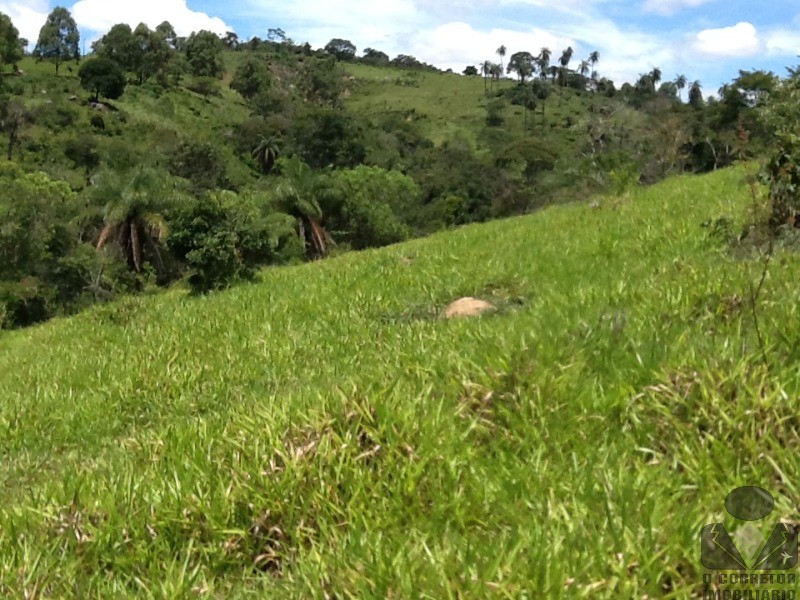 Chácara à venda, 20000m² - Foto 54