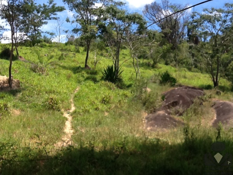 Chácara à venda, 20000m² - Foto 55