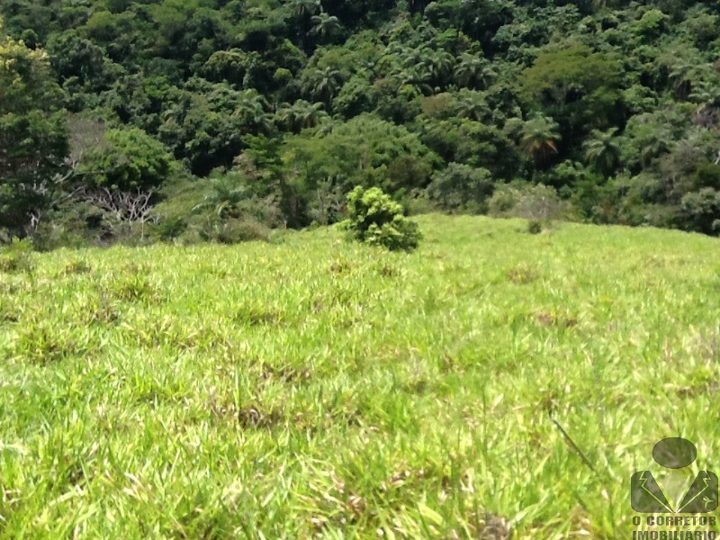 Chácara à venda, 20000m² - Foto 38