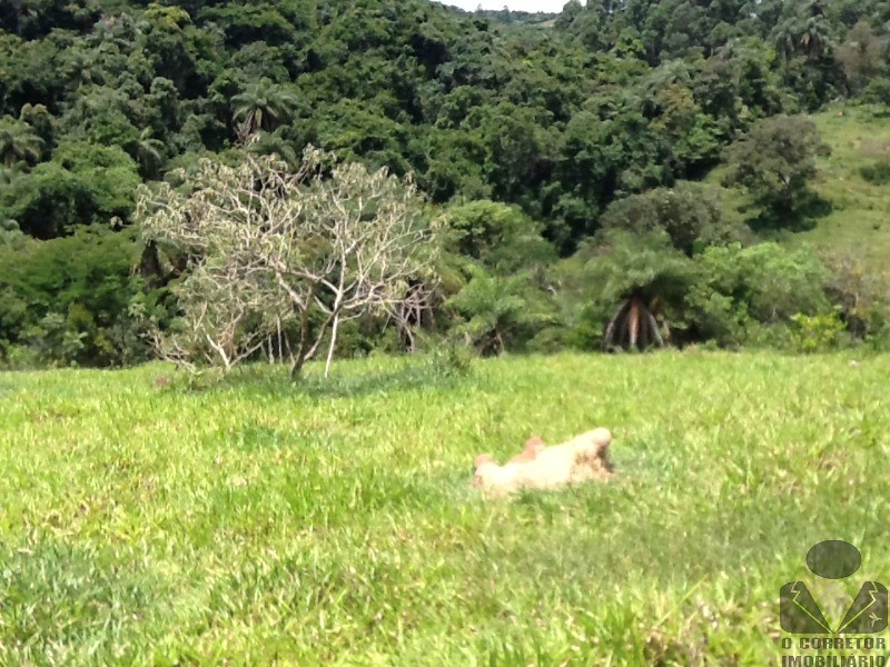 Chácara à venda, 20000m² - Foto 46