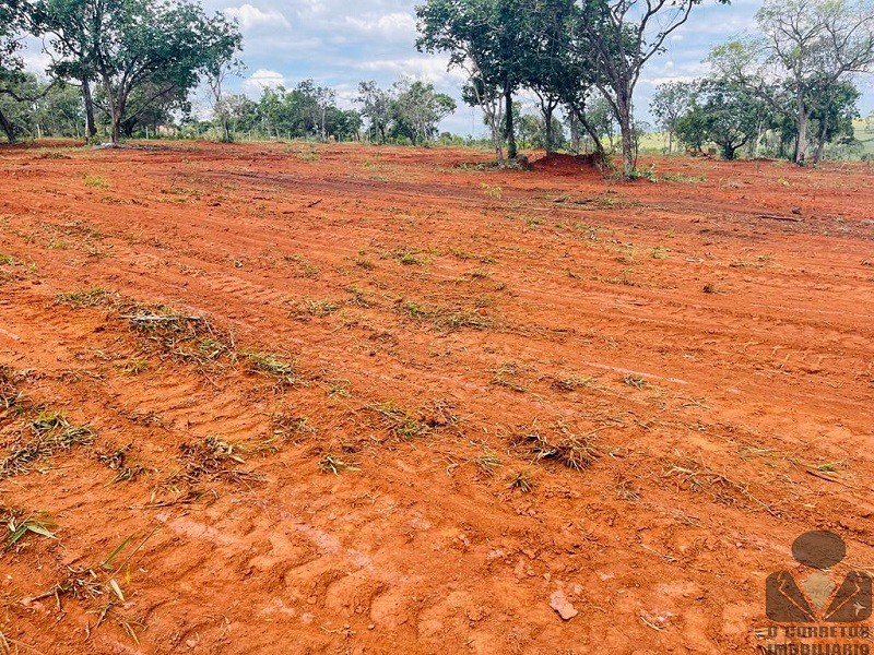 Loteamento e Condomínio à venda, 1000m² - Foto 8