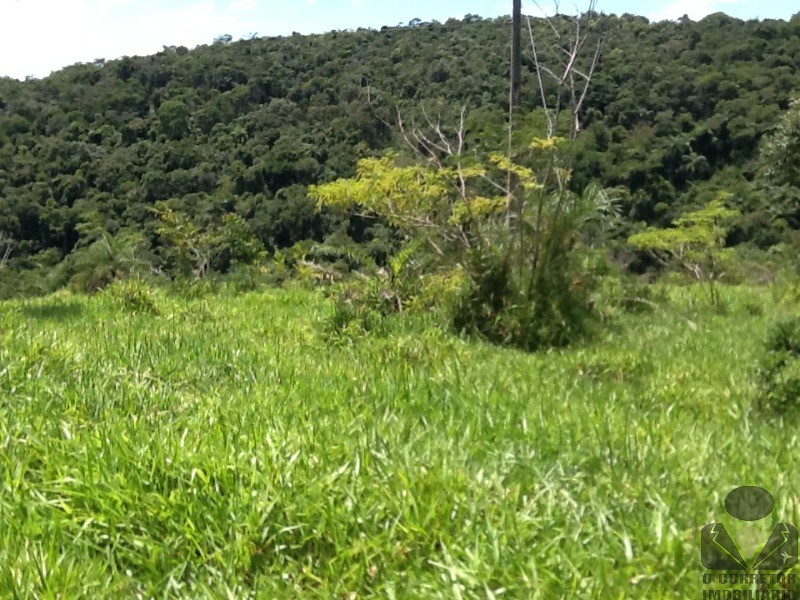 Chácara à venda, 20000m² - Foto 34