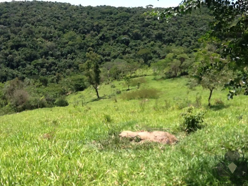 Chácara à venda, 20000m² - Foto 24