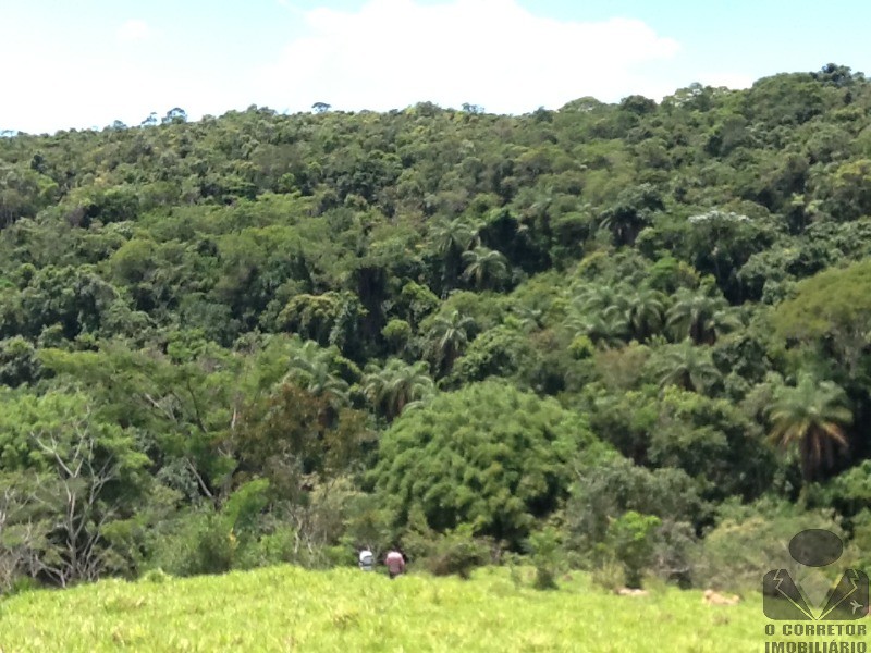 Chácara à venda, 20000m² - Foto 50