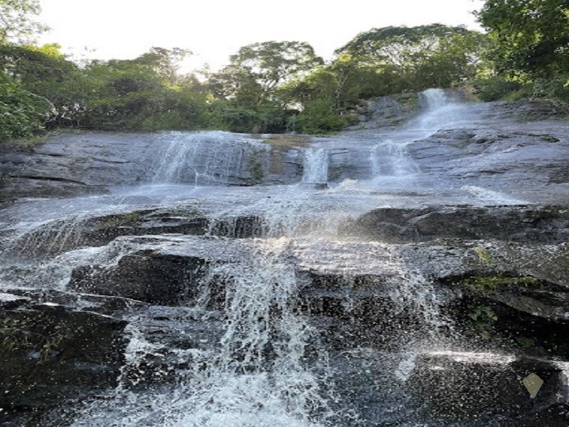 Chácara à venda, 20000m² - Foto 4