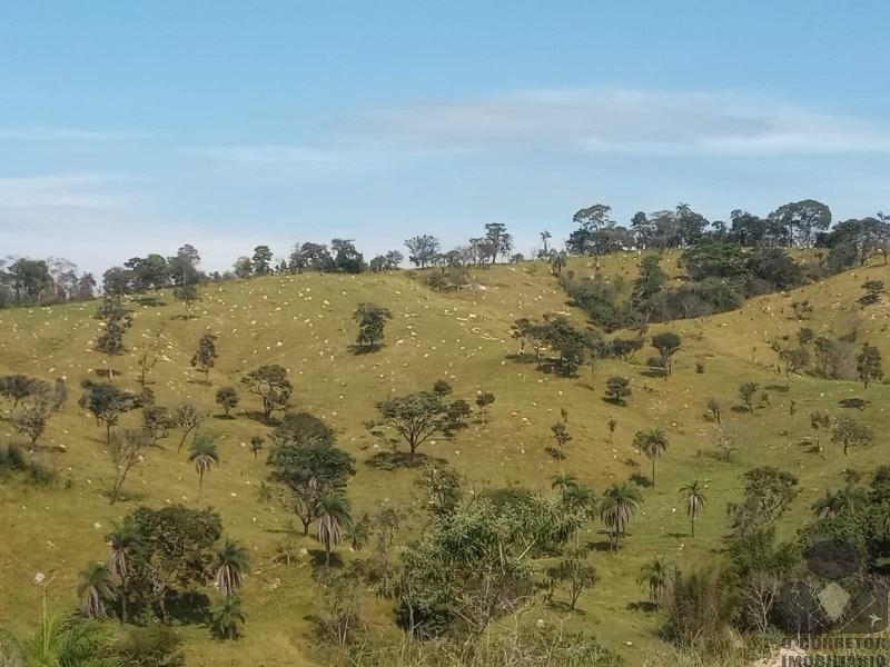 Chácara, 3 hectares - Foto 8