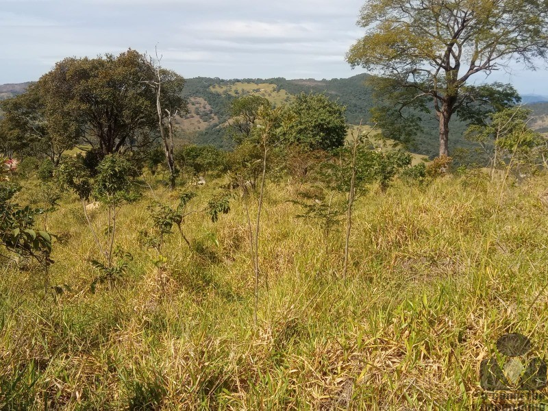 Chácara, 3 hectares - Foto 9